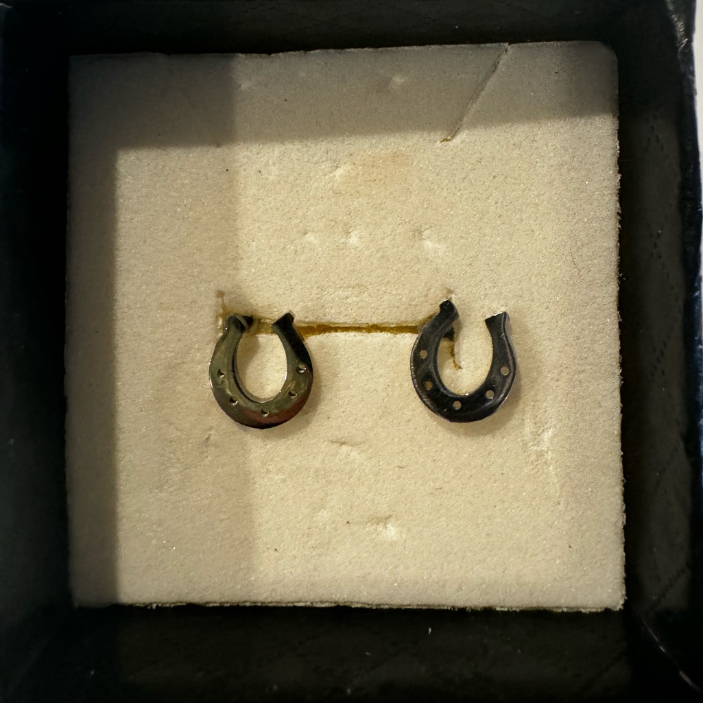 Stainless Steel Horseshoe Stud Earrings